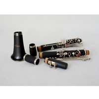Wholesale Custom Brand High Quality ABS Clarinet Black 17 Key Nickel Plated Bb Clarinette Woodwind Musical Instrument