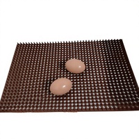 Nouveau tapis de nidification en PVC TPE, taille personnalisée, réutilisable, hygiénique, pour poulailler et poussinière