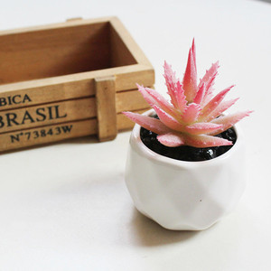 Venta al por mayor, nuevo diseño, Mini suculento con maceta de cerámica, plantas suculentas artificiales - Product Image 6