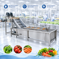 Yido hogedruk fruit- en groentewasmachine met ozon, voor aardappelen, sla en andere groenten, inclusief transportband.