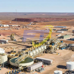 Equipo de Minería de Oro a Pequeña Escala de 2 TPH, Planta de Procesamiento de Lixiviación de Oro CIP/CIL - Product Image 2