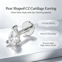 Nouvelles boucles d'oreilles en zircon, chaîne simple et élégante, pour femme, pour le quotidien et toutes les occasions.