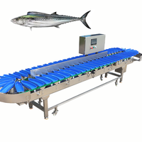 Spaanse Makreel Clow Trepang Rivierkreeft Kreeft Vis Meerdere Niveaus Sorteermachine Oester Garnalen Gewichtssorteermachine Sensor PLC Core 1