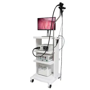 Hastane tıbbi Video veteriner endoskop muayene kolonoskopi sistemi veteriner taşınabilir endoskop
