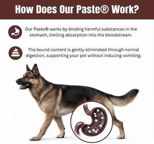 Gel de <span class=keywords><strong>charbon</strong></span> <span class=keywords><strong>actif</strong></span> <span class=keywords><strong>pour</strong></span> <span class=keywords><strong>chiens</strong></span>, <span class=keywords><strong>pour</strong></span> <span class=keywords><strong>les</strong></span> empoignées par des produits toxiques, premiers secours <span class=keywords><strong>pour</strong></span> <span class=keywords><strong>chiens</strong></span>, <span class=keywords><strong>charbon</strong></span> <span class=keywords><strong>actif</strong></span> à usage animal uniquement - Product Image 3
