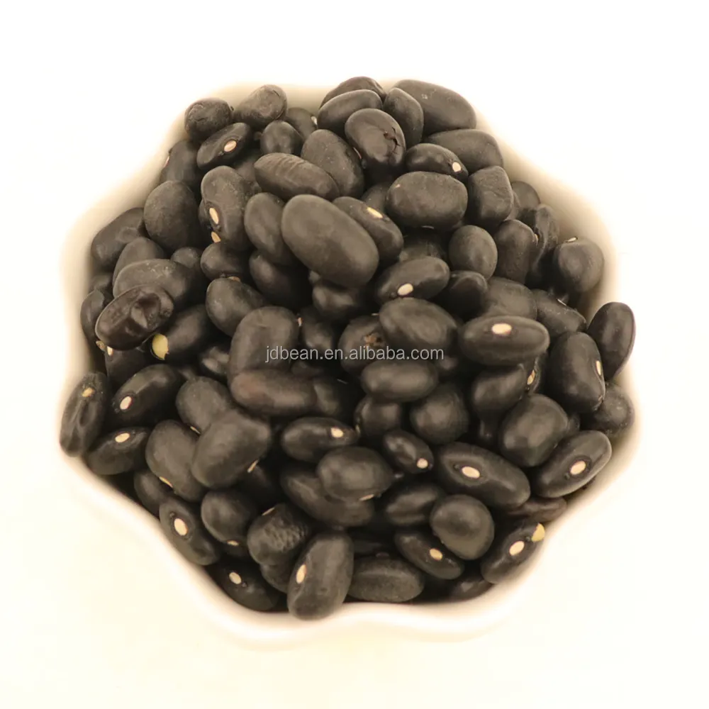 Grosir kacang merah Harga Hitam kacang merah hitam Tiongkok