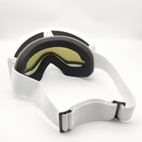 Nouvelles lunettes de ski de mode RD-61040-Lunettes de sports de plein air de montagne d'hiver