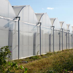 Cadre en acier pour serre à haut <span class=keywords><strong>tunnel</strong></span> avec tapis de contrôle des mauvaises herbes pour la plantation de concombres - Product Image 4