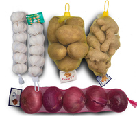 LPMIE Reliable Mesh Bags Packing Machine-Sicherste llung makelloser Verpackungs ergebnisse in Obst-und Gemüse verpackungs anlagen