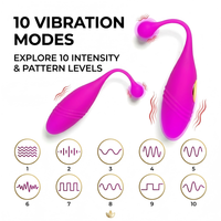 Fernbedienungsvibrations-Ei aus Silikon, Klitorisstimulator für Frauen, wiederaufladbar, tragbares Sexspielzeug, Vibrator, Liebes-Ei