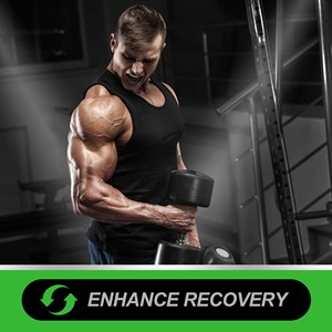 Líquido Oral de L-Carnitina OEM ODM con Ácido Pantoténico que Mejora la Recuperación Muscular y Convierte los Ácidos Grasos en Combustible - Product Image 6