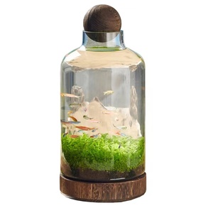 Bocaux de <span class=keywords><strong>terrarium</strong></span> Vente en gros Matériau en verre <span class=keywords><strong>Plante</strong></span> d'intérieur géométrique transparente Bouteille de <span class=keywords><strong>terrarium</strong></span> en verre Biodome Rainfore <span class=keywords><strong>Terrarium</strong></span> Jar - Product Image 1