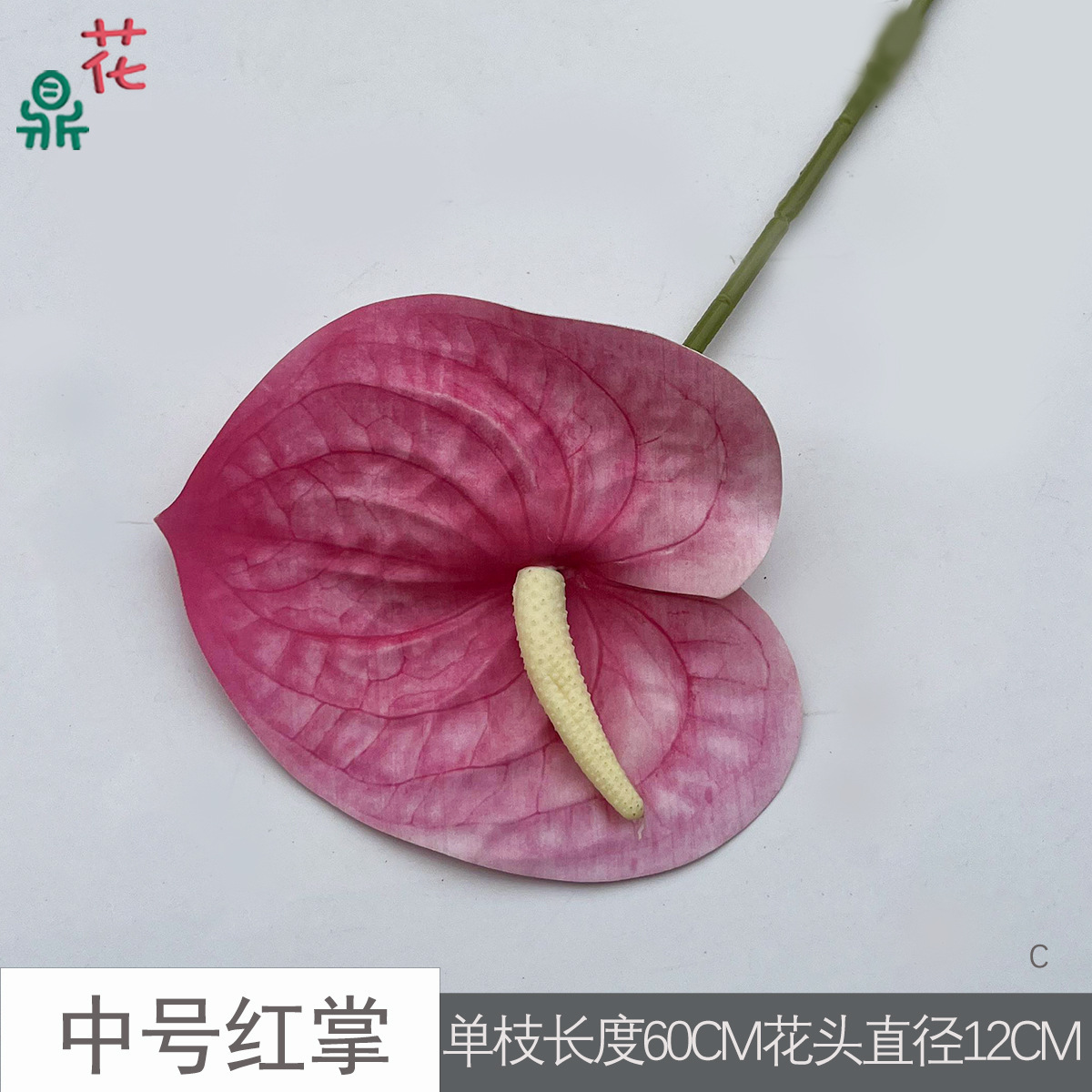 Anthurium rouge de taille moyenne C3 rose foncé