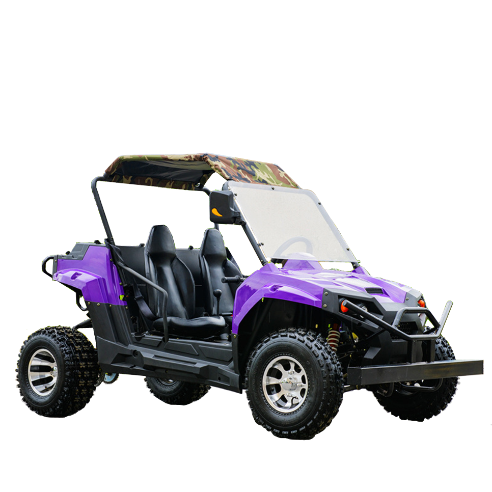 Quadix Buggy 1100 4x4