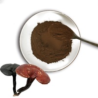 Offre Spéciale de qualité alimentaire extrait de ganoderma en poudre poudre de brun foncé