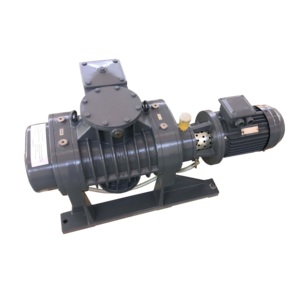 Bomba de Vacío Mecánica Roots ERP-300A - Product Image 1