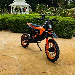 Moto électrique en gros, entrepôt UE en stock, livraison 3-7 jours, batterie 48V 25Ah, autonomie 60km, moto tout-terrain électrique, vélo électrique - Product Image 1