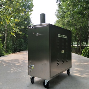 Máquina de Lavado de Autos a Vapor Móvil para Talleres de Lavado de Autos, Pequeña Máquina de Limpieza Multifuncional a Gas - Product Image 6