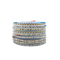 Bande lumineuse LED de jardin RGB 12V IP20 en PVC avec contrôle WiFi, certifiée RoHS, installation facile et intensité réglable