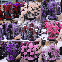 Yunnan vente chaude grande taille roses conservées cadeaux de fête des mères dans un dôme en verre pour les décorations d'événement de mariage et d'halloween
