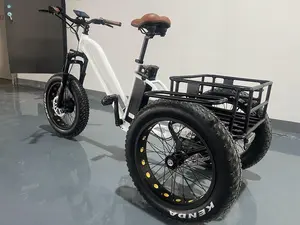 Customized 20inch Electric Cargo Trike Front Hub Motor Fat Tire 3 Wheels Bike Electronic 3 Wheels Adult Electric Tricycle