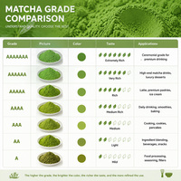 Poudre de matcha Uji de style japonais de qualité supérieure Uji1  Uji4 Grade pour la fabrication de gâteaux, vente en gros pour les cafés et les marques privées