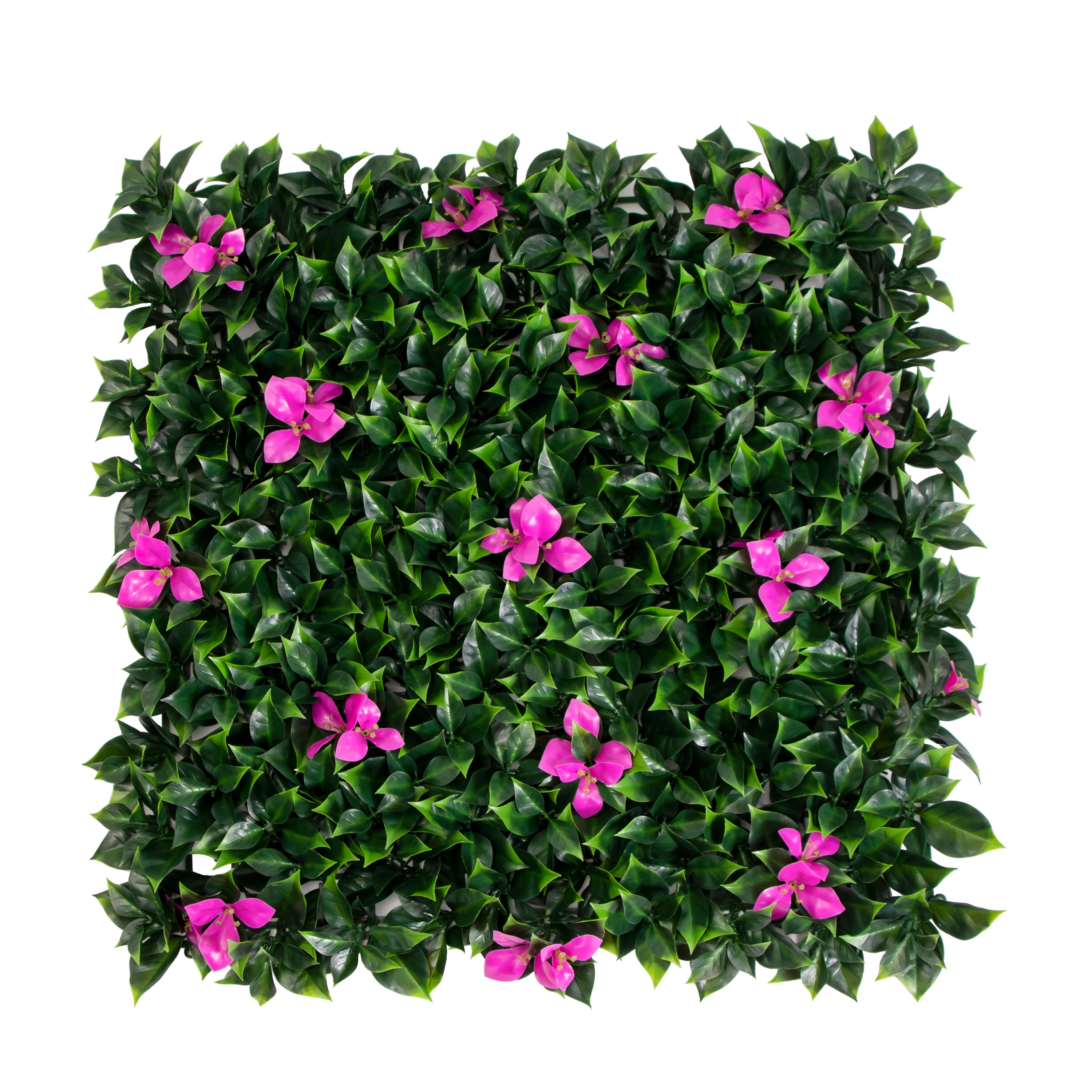 P201-1&nbsp;:&nbsp;&nbsp;L'Éloignement des écrans