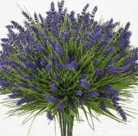 Kunstmatige lavendel, realistisch, milieuvriendelijk, handgemaakt, UV-bestendig boeket voor thuis, tuin, bruiloft en feestelijke buitendecoratie