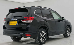 <span class=keywords><strong>Subaru</strong></span> <span class=keywords><strong>Forester</strong></span> 2019 2.0i Edizione Premium Auto Usata - Product Image 5