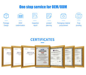 <span class=keywords><strong>Carburador</strong></span> Limpieza Precio Galon Bulk 400ml <span class=keywords><strong>Aditivo</strong></span> de combustible Auto Sin olor Espuma Carb-Cleaner China - Product Image 6