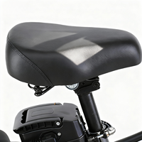 Sepeda Listrik Lipat Ukuran Kompak Grosir 48v 250w Bertenaga Baterai Lithium E-Moped untuk Dewasa Jarak Tempuh 50km