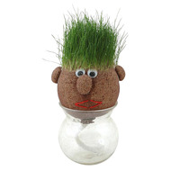 Tête d'herbe Jouet Poupée Plantes en pot Décoration de bureau Kit éducatif de culture de plantes écologique Cadeau unique pour enfants et adultes