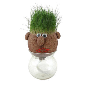 Grashoofd Speelgoed Pop Potplanten Desktop Decoratie Ecofly Groeien Planten Educatieve Kit Uniek Cadeau Voor Kinderen En Volwassenen - Product Image 4