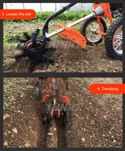 เครื่องตัดหญ้าแบบเข็น <span class=keywords><strong>UNIO</strong></span> รุ่นขายดี 2/4 จังหวะ เครื่องยนต์เบนซิน กำลังสูง สำหรับสวน ไร่นา กำจัดวัชพืช ตัดหญ้า ตัดแต่งพุ่มไม้ - Product Image 4