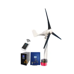 Eje horizontal de velocidad del viento de arranque bajo uso de paisaje doméstico 300W 200W mini turbina eólica 12V 24V 48V generador de viento 500W 600W 1KW