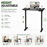 Bureau assis-debout électrique à moteur unique, ergonomique, extensible, moderne, poste de travail réglable pour bureau à domicile, commandes en gros