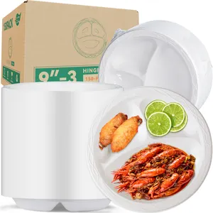 YANGRUI White Plastic Plates 9 Inch 3 Compartments BPA Free Reusable Dinner Plates Microwave Safe