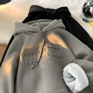 Peso pesado 100% algodón sudaderas con capucha en blanco francés Terry sudaderas con capucha de gran tamaño hombres logotipo en relieve personalizado hombres 500 Gsm grueso Unisex Hoody - Product Image 6