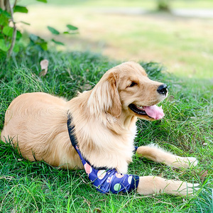 Ropa protectora de rodilla y codo para Golden Retrievers y Labradores Protección de articulaciones y antiabrasión - Product Image 6