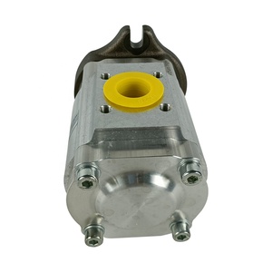 Bomba de Engranajes para Máquina de Moldeo por Inyección ECKERLE 890-EI-0250-FK2-S201 de Alemania - Product Image 5