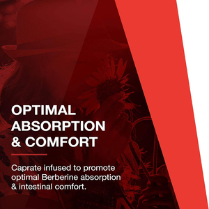 Aceite MCT de marca privada de alta calidad y cápsulas blandas de Berberina HCL que favorecen el metabolismo lipídico, la energía y el control de peso. - Product Image 5