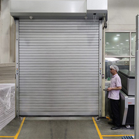 Puerta Enrollable de Acero Galvanizado Ignífuga |   Puerta Industrial Antirrobo, Apta para Almacenes y Garajes de Fábrica