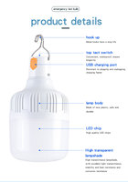 Ampoule LED d'Urgence Portable E27 B22, Rechargeable USB, Lumière d'Urgence pour Maison 10W 20W 30W 40W 50W