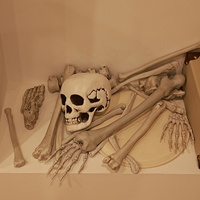 Modèle de squelette humain démontable 19 pièces - Accessoires de décoration effrayants pour Halloween, maison hantée, fête et éducation scientifique