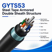 Câble à fibres optiques blindé GYTS53 24 48 96 cœurs G652D anti-rongeurs à enrobage direct