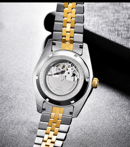 Montre <span class=keywords><strong>Pagani</strong></span> Design 1645 pour homme, mouvement japonais <span class=keywords><strong>NH35A</strong></span>, étanche 10 bars, montre mécanique automatique naturelle pour homme - Product Image 2