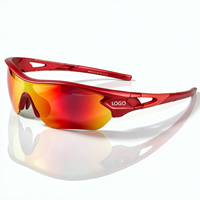 Lunettes de soleil de sport personnalisées avec monture légère en TR90, protection UV400, verres polarisés photochromiques en PC pour le cyclisme, la course à pied et les activités de plein air