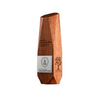 Trophées personnalisés sur mesure, Employés d'excellence, Récompenses d'entreprise et souvenirs artisanaux pour cérémonies de remise des prix