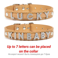 Collier pour chien personnalisé en PU de haute qualité avec lettres en strass modernes et lettrage anglais – Accessoires DIY