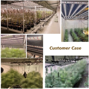 3-Channel Balanced PPFD Led <strong>Grow</strong> <strong>Light</strong> 1000W LM301H Evo Custom UV IR Full Spectrum 600W 680W Indoor Plant <strong>Grow</strong> LED <strong>Lights</strong> - Product Image 6